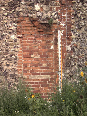City Wall Survey