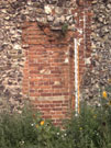 City Wall Survey