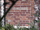 City Wall Survey