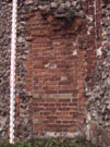 City Wall Survey