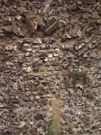 City Wall Survey
