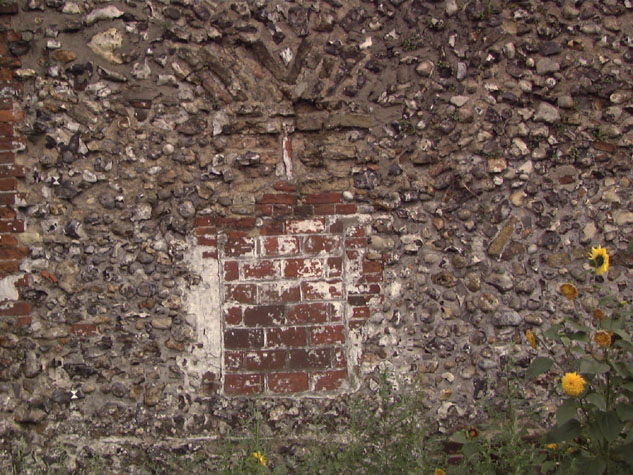 City Wall Survey