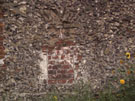 City Wall Survey