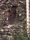 City Wall Survey