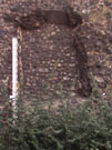 City Wall Survey