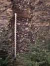 City Wall Survey