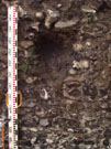 City Wall Survey