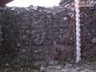 City Wall Survey