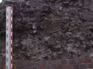 City Wall Survey