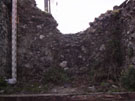 City Wall Survey