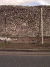 City Wall Survey