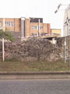 City Wall Survey