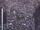 City Wall Survey