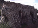 City Wall Survey