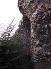 City Wall Survey