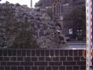 City Wall Survey