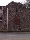 City Wall Survey