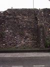 City Wall Survey