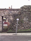 City Wall Survey