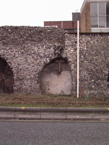 City Wall Survey