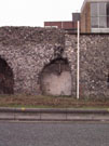 City Wall Survey