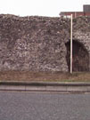 City Wall Survey