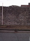 City Wall Survey