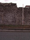 City Wall Survey