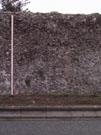 City Wall Survey
