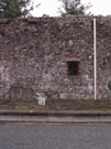 City Wall Survey