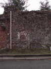 City Wall Survey