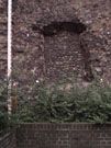 City Wall Survey