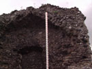 City Wall Survey