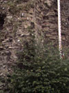 City Wall Survey