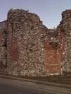 City Wall Survey