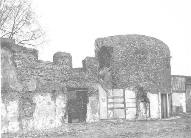 City Wall Survey