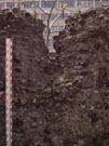 City Wall Survey
