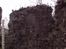 City Wall Survey