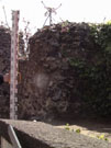 City Wall Survey
