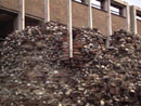 City Wall Survey