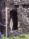 City Wall Survey