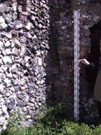 City Wall Survey