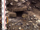 City Wall Survey