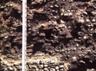 City Wall Survey