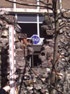 City Wall Survey