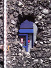 City Wall Survey