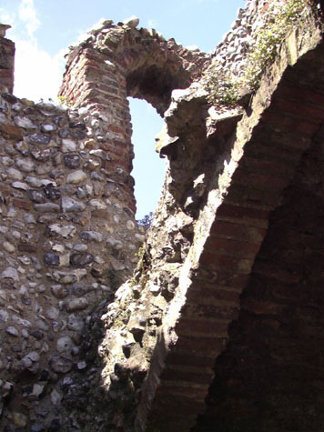 City Wall Survey