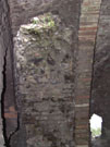 City Wall Survey