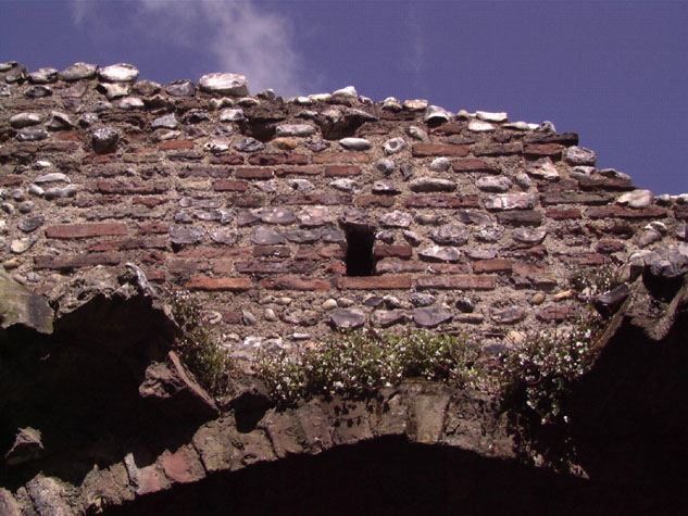 City Wall Survey
