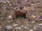 City Wall Survey